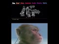 Monke Listens To Gta IV TBoGT Pause Music Monke Listens To Gta IV TBoGT Pause Music