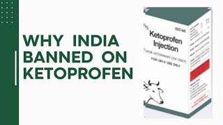 Why India banned on Ketoprofen injection | Side effects of Ketoprofen injection in Cattle