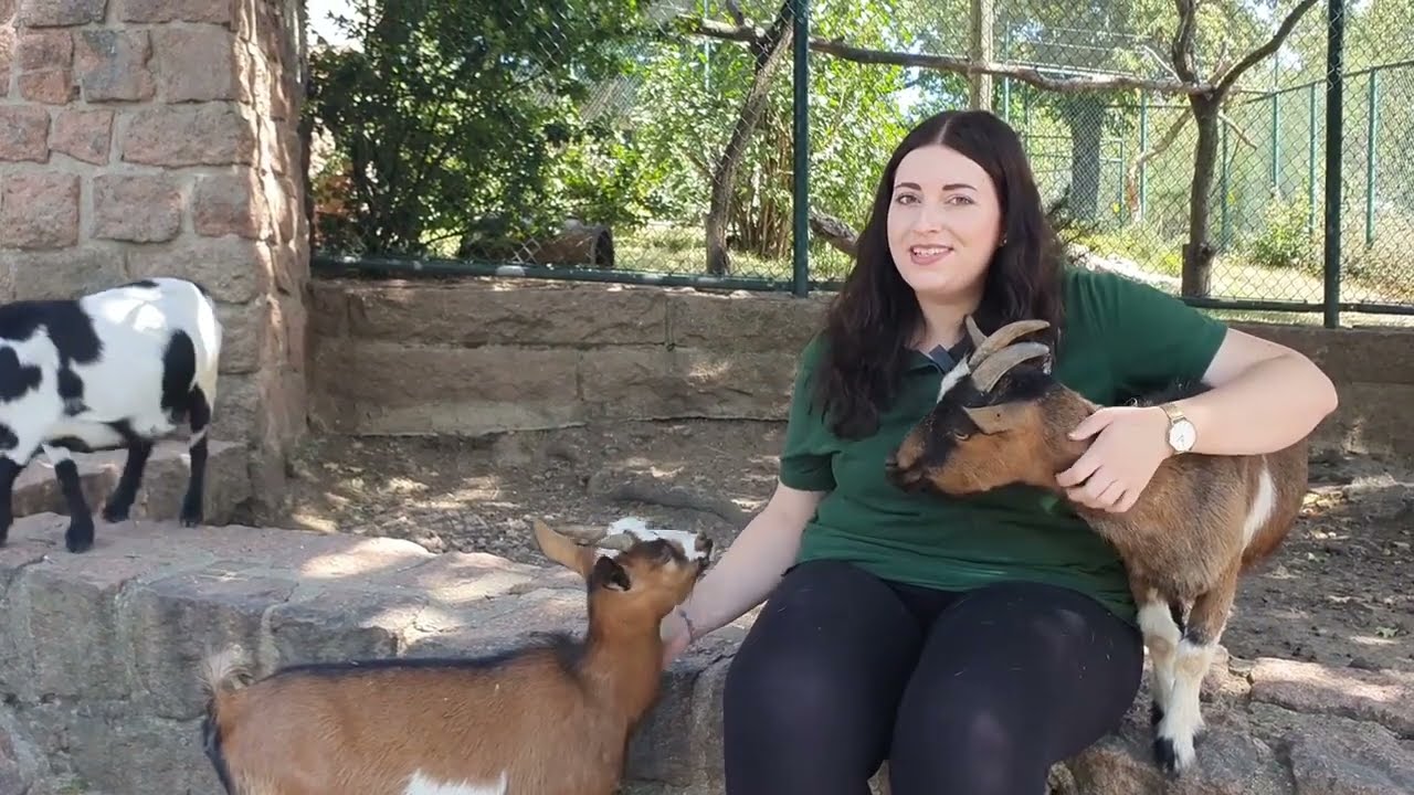 JULIA'S ZOO NAH DRAN 🤩🌍🐐 Folge 9: Die Afrikanische Zwergziege