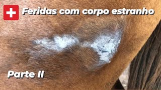 POR DENTRO DO BICHO | FERIDAS COM CORPO ESTRANHO  - Parte II