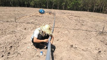 Chia sẻ nhanh cách lắp đặt hệ thống béc tưới nhanh 1 Ha trong 1 ngày - 0985833804 - www.vnplant.com