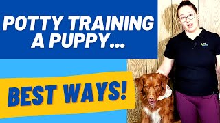 Puppy Potty Training Problems: How long to housetrain?