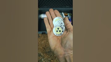 The Immortal Cheeseburger | Time Capsule (2034) #cheeseburger #time #treasure