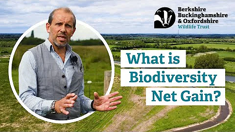 What is Biodiversity Net Gain?