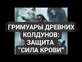 МОЩНЕЙШАЯ МАГИЧЕСКАЯ ЗАЩИТА "СИЛА КРОВИ" // САКРАЛЬНЫЙ ТОТЕМИЗМ #защита #магическаяпомощьонлайн #я