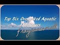 Top 6 Overlooked Aquatic Fragrances