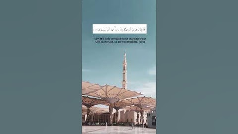 وَلَقَدْ كَتَبْنَا فِي الزَّبُورِ.. تلاوة رائعة من سورة الأنبياء الشيخ #إدريس_ابكر 💙
