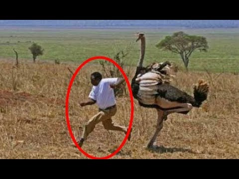 BIRATANGAJE UBURYO IBINYABUZIMA BIGURUKA BIBAHO: SOBANUKIRWA