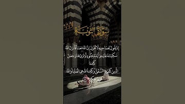 سورة التوبة - ماهر المعيقلي