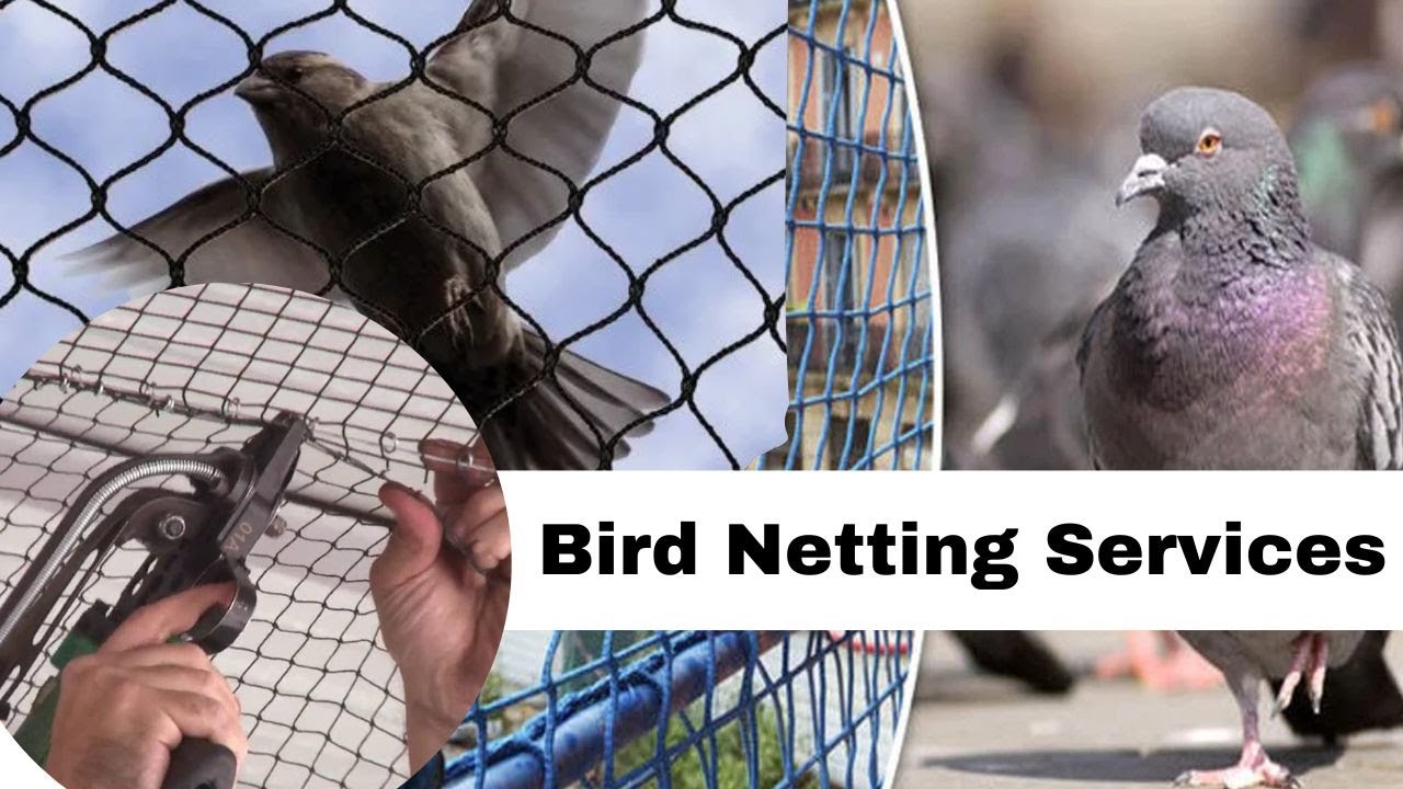 Bird netting service, anti pigeon net instillation, Balcony safety net