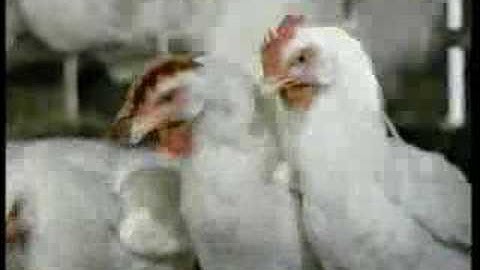 Activision Freeway Video Game for Atari