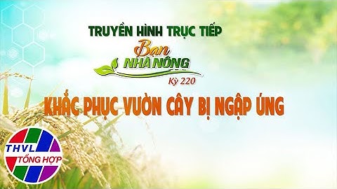 Bạn nhà nông - Kỳ 220: Khắc phục vườn cây bị ngập úng