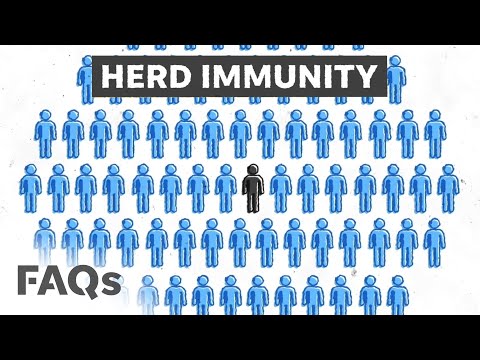 COVID-19 herd immunity may never happen, here's why | JUST THE FAQS