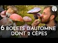 6 Bolets Comestibles Dont Deux Cèpes à Cueillir En Automne mp3