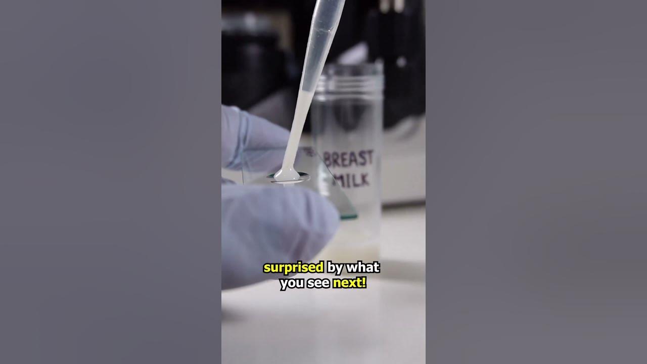 Breast milk VS Cow milk under 1000x microscope YouTube