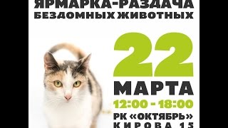 9 Ярмарка-раздача бездомных животных в Томске 9 Ярмарка-раздача бездомных животных в Томске