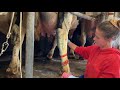 Farm #WithMe Dairy Raw Milking Automatik Robot Feeder Mixer Farm Pretty Girl Chainsaw Tree Cutting