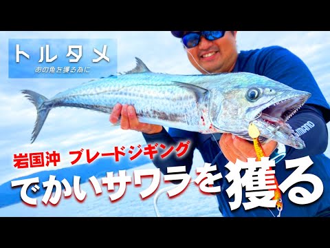 ブレードジギング 】話題の岩国沖！超高速巻きでモンスターサワラを