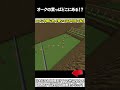 【マイクラ】オークの葉っぱどこにあある!? #マイクラ #マインクラフト #逃走中 #shorts