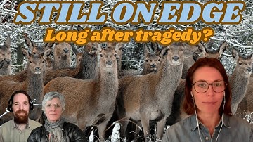 Mountain Tragedy:  A week, a month, a year later