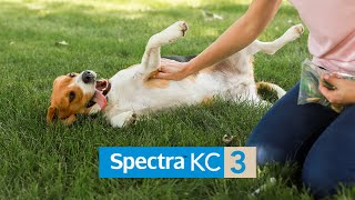 Protect Your Pets Against Kennel Cough with Canine Spectra KC3 Vaccine