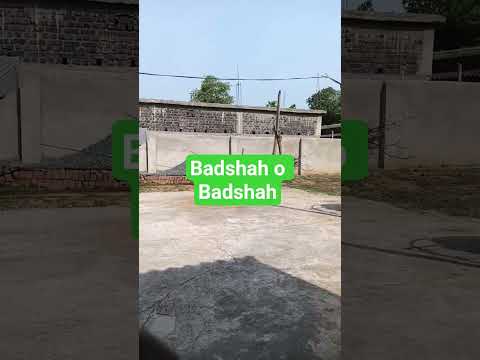 Badshah o Badshah