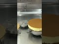 New Design for Ultrasonic Cake Cutting Machine from Wanli