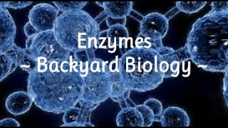 Enzymes Backyard Biology
