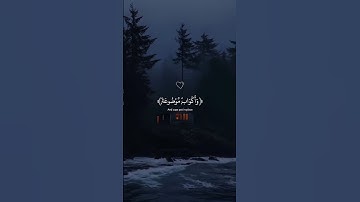 #في جَنَّةٍ عَالية#القارئ عبدالرحمن مسعد#تلاوة هادئة #ارح قلبك#اجر