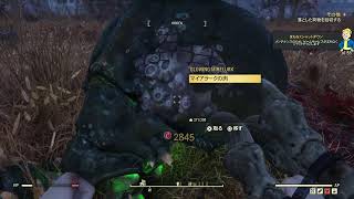 fallout 76 #24 バローズで地下格闘技大会をやるよ