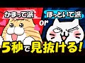 【猫の本音】あなたの猫は“かまって派”それとも“ほっといて派”?