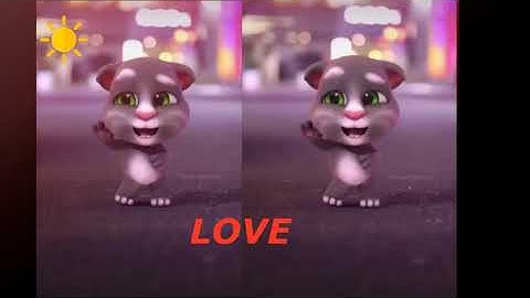 Nhạy theo điệu nhảy của các chú mèo nào các bạn ơi 2020 !