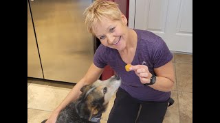 Sweet Potato Dog Treats