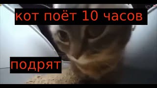 кот(шка) поют 10 часов подряд  DUBI DUBI DABA DABA MÀGICO MI DUBI DUBI BOOM BOOM BOOM BOOM