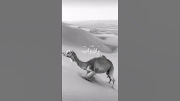 ألم تر أن الله يسجد له من في السماوات ومن في الأرض والشمس والقمر #سورة_الحج #المسلمين#المسلم #العرب