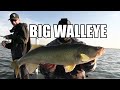 Looking for a GIANT Walleye!! | Boat Control is Key!