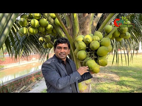 ভিডিও: গার্ডেন সোয়েলস - আপনার বাগানে একটি সোয়াল তৈরি করার জন্য টিপস৷