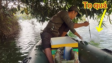 5 Ngày Truy Tìm Bầy Cá Săn Mồi Hung Dữ / Cắm Trại Câu Cá Trong Rừng 