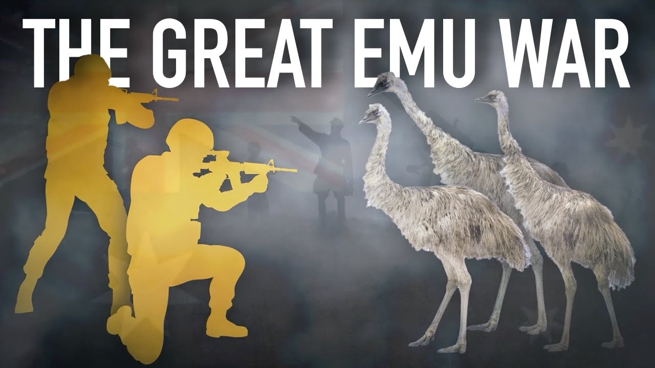 Australia Lost a War to a Bird | The Great Emu War - YouTube