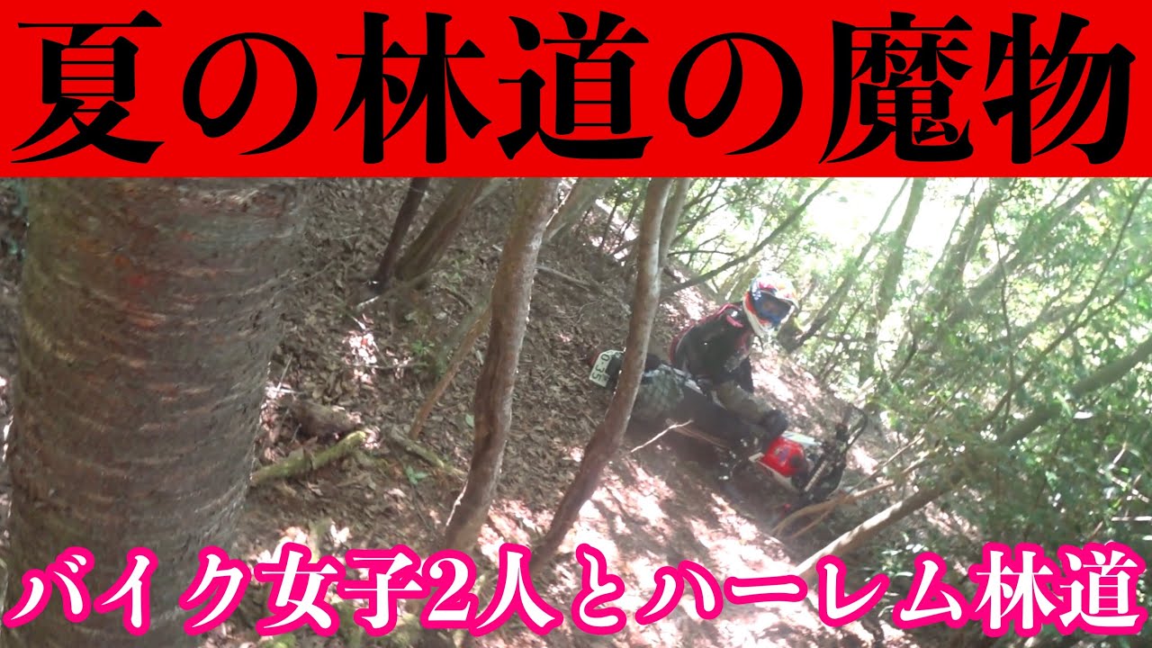 【バイク女子】ハーレム林道ツーリングの最後は以外な形で終わりを迎える