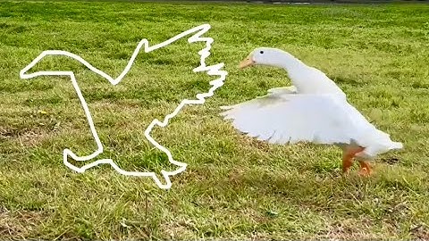 Impossible Pause Game 🦆