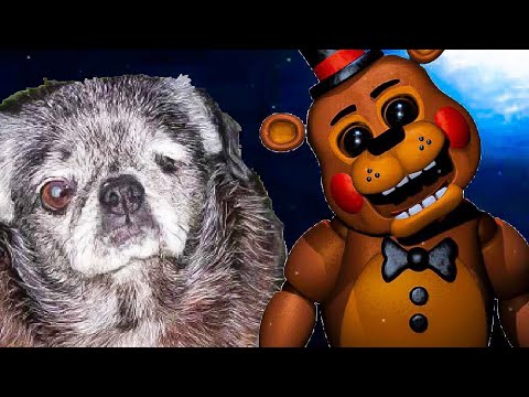 TERRIFYING PUG JUMPSCARE! - Five Nights at Pugs Gameplay (Five Nights at Freddy's) - TERRIFYING PUG JUMPSCARE! - Five Nights at Pugs Gameplay (Five Nights at Freddy's)