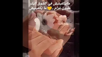 أليسا خليني أعيش وانا بين إيديك 