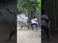 ghost prank 🤣😂🤣😂 #fblifestyle #lifestyle #shorts