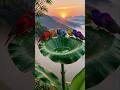 Magical Birds Nature Peaceful Cinematic Relaxing Video Part 2 Nature Birds Flowers Shorts 