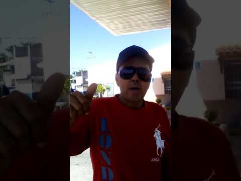 Tomas camacho el