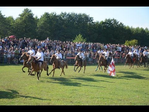 მარულა 2015