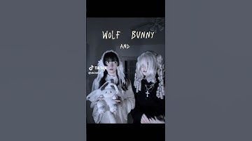 “bunny and wolf trend” // ib: @skineor on tt // #trend #meme #viral #bunny #wolf #cosplay #editing