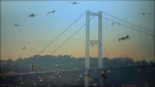 Istanbul 2020 Olympic Games Promo Video