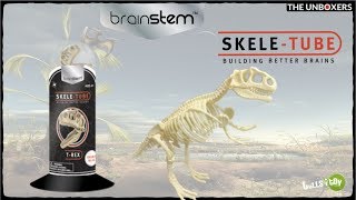 Brainstem Skele-Tube T-Rex Dinosaur Skeleton Puzzle Learning Toy New 